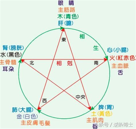 自己五行屬性|五行測試：你屬哪一行？